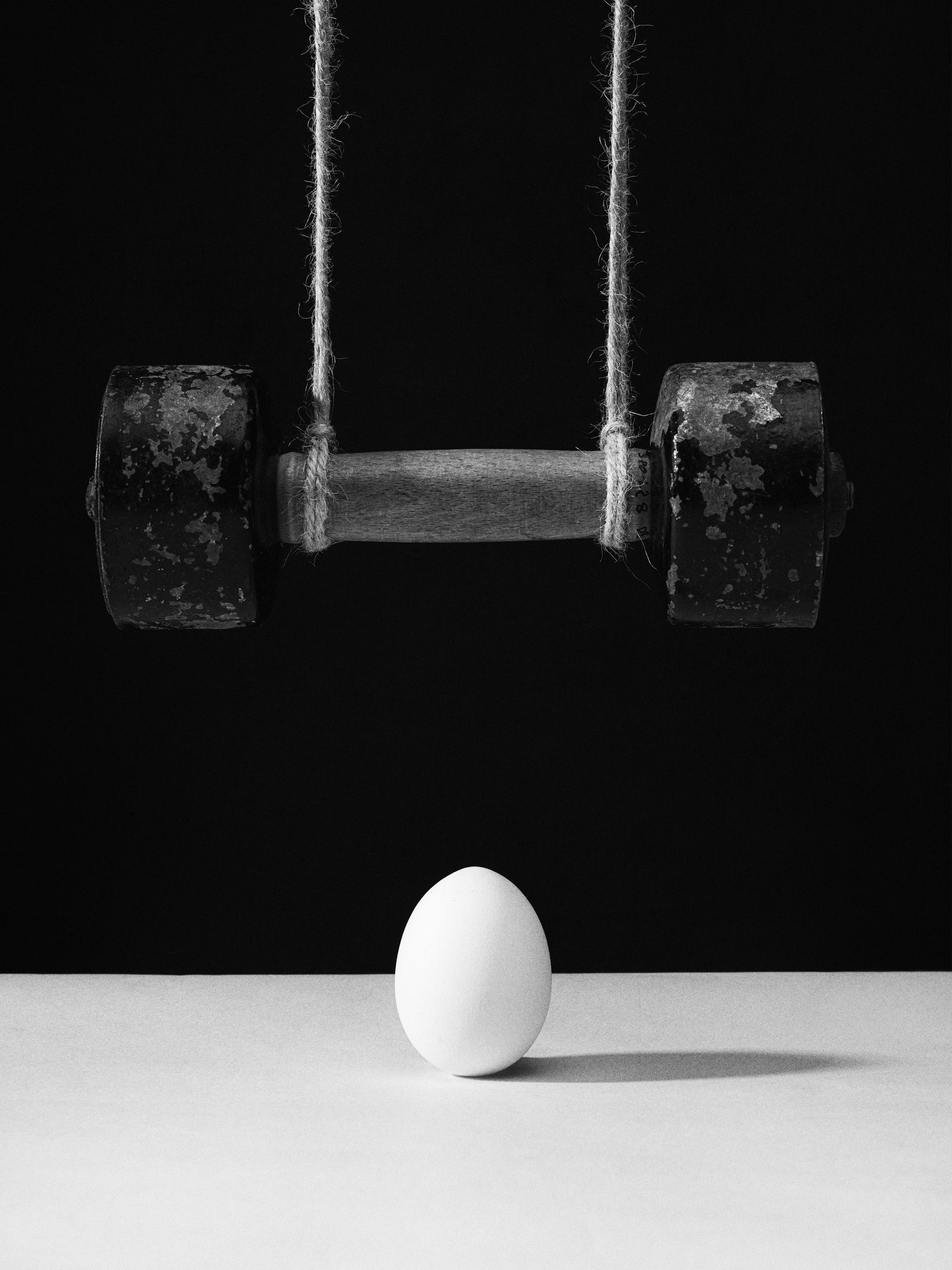 Constructed. fine-art still life by Katrina Dobbermane